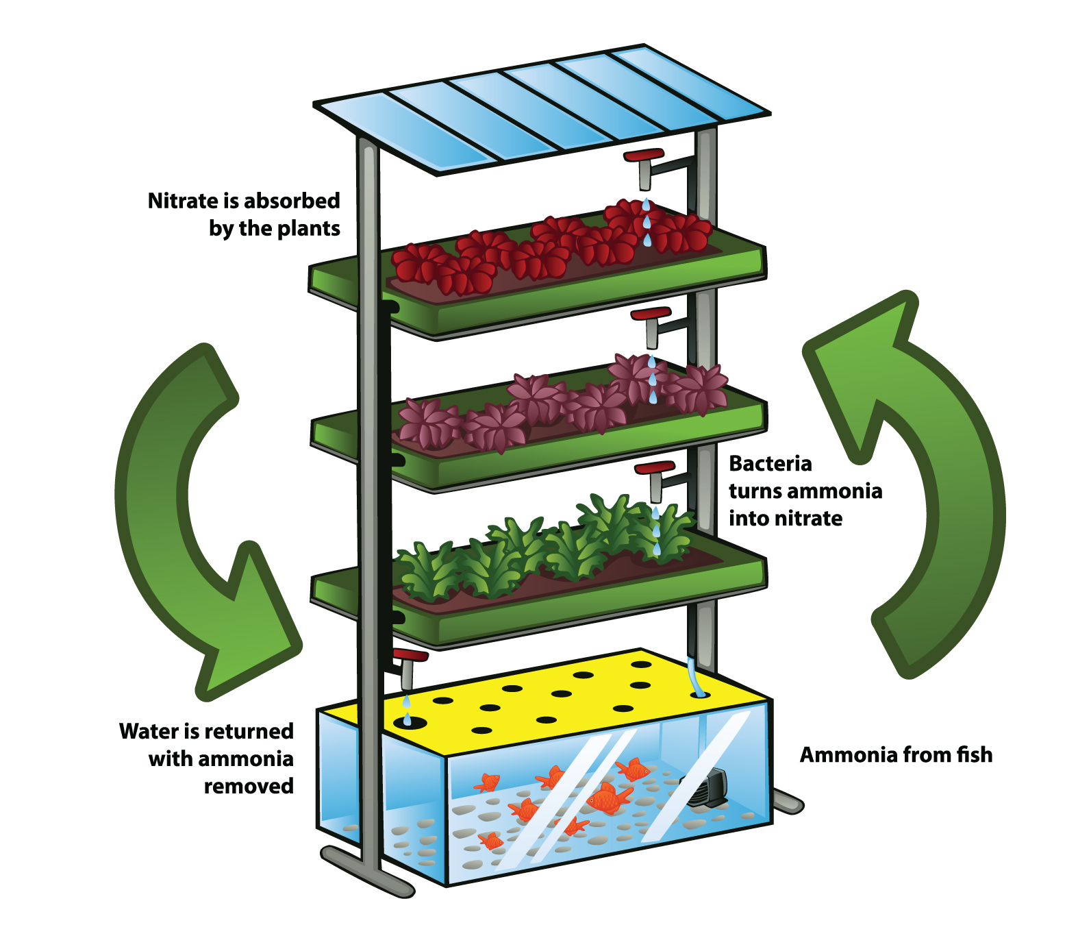 Aquaponic system